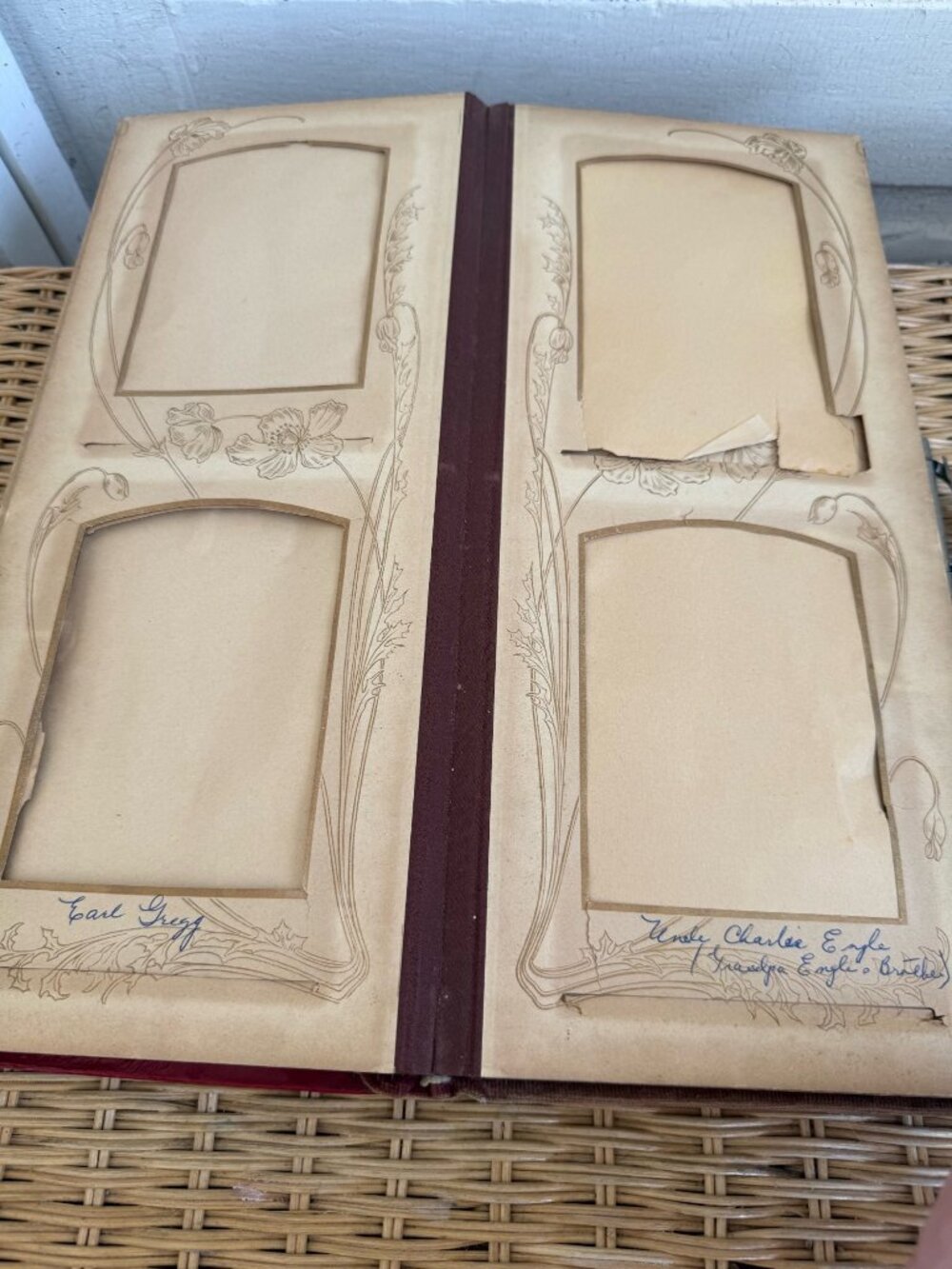 Antique 1880s Red Celluloid Velvet Photo cabinet Album - Picture 11 of 12